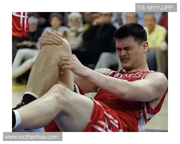 姚明在比赛中持球瞬间展现的力量与优雅的完美结合