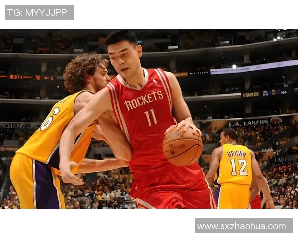 姚明智商132背后的故事与篮球生涯的精彩交织